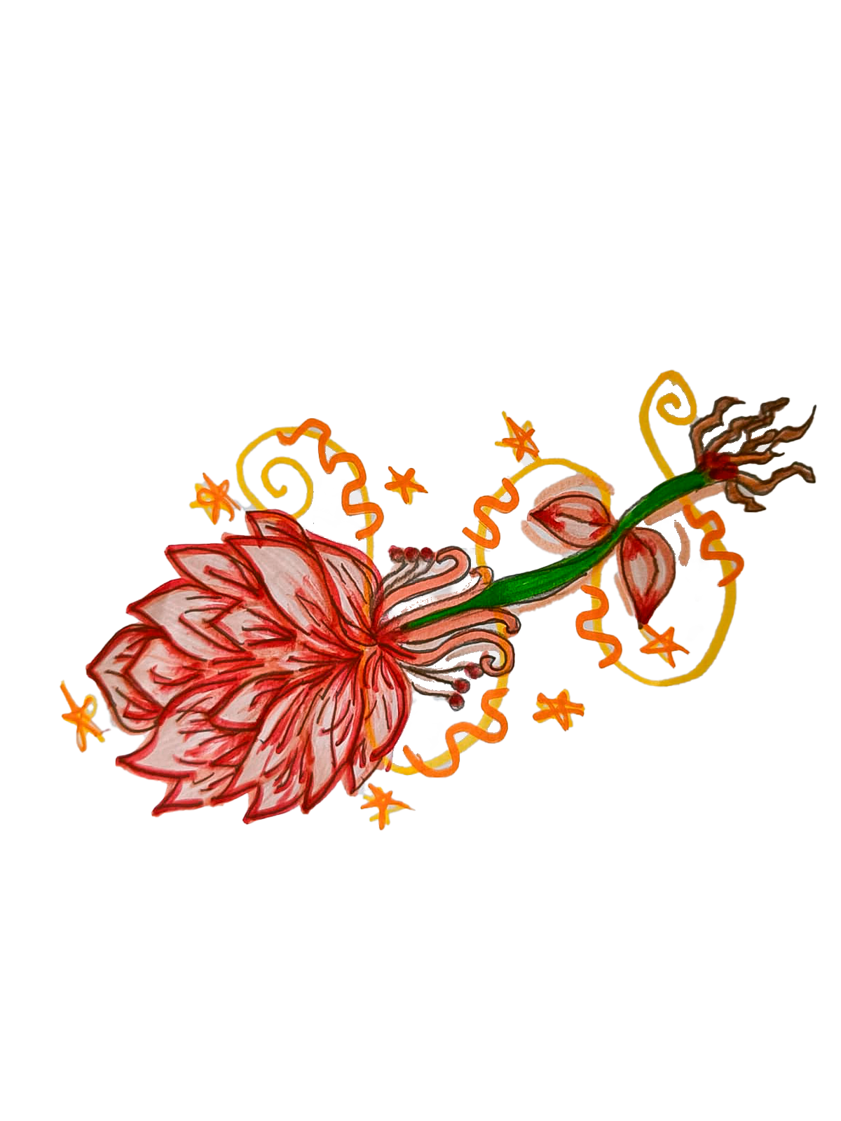Ilustración floral en tonos rojizos